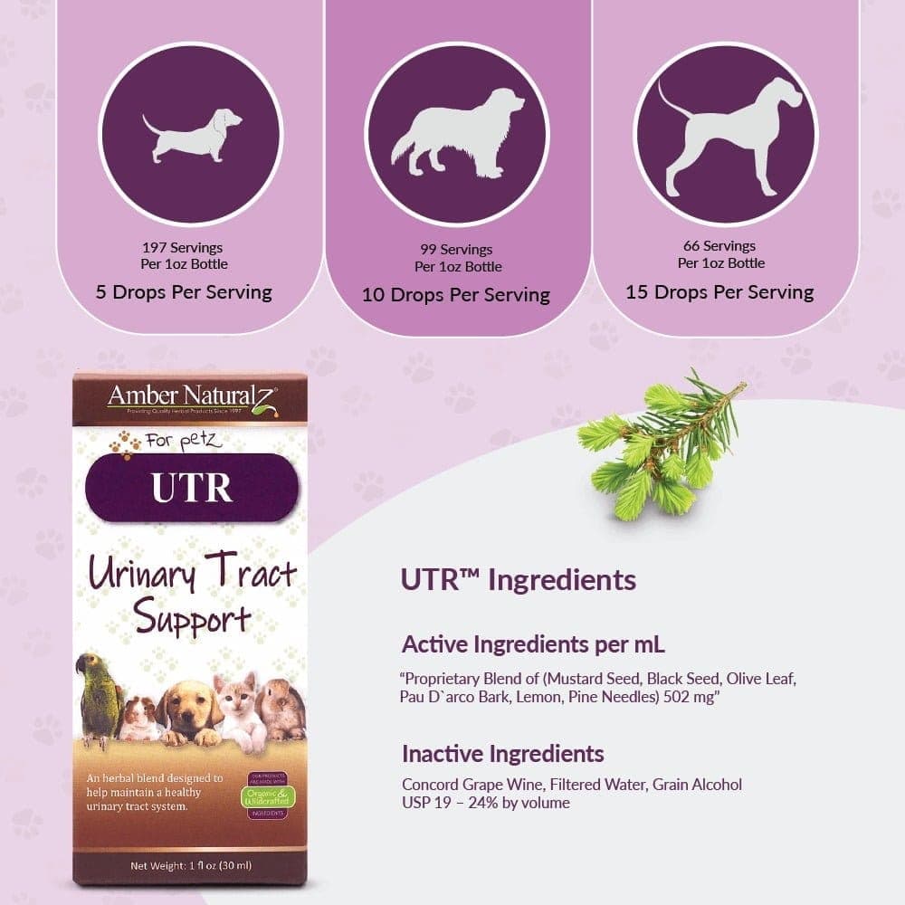 Amber NaturalZ UTR™ (Urinary Tract Support) - thumbnail 4