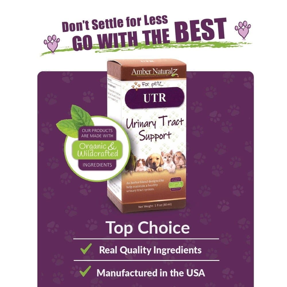 Amber NaturalZ UTR™ (Urinary Tract Support) - thumbnail 5