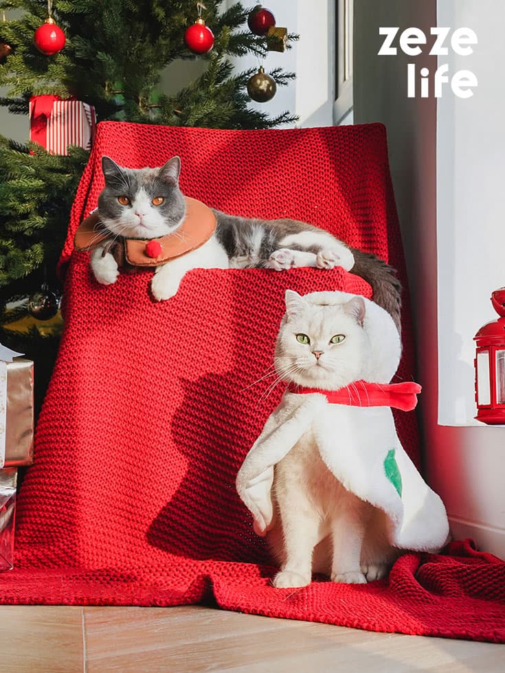 Gift Set Cat Christmas Costumes