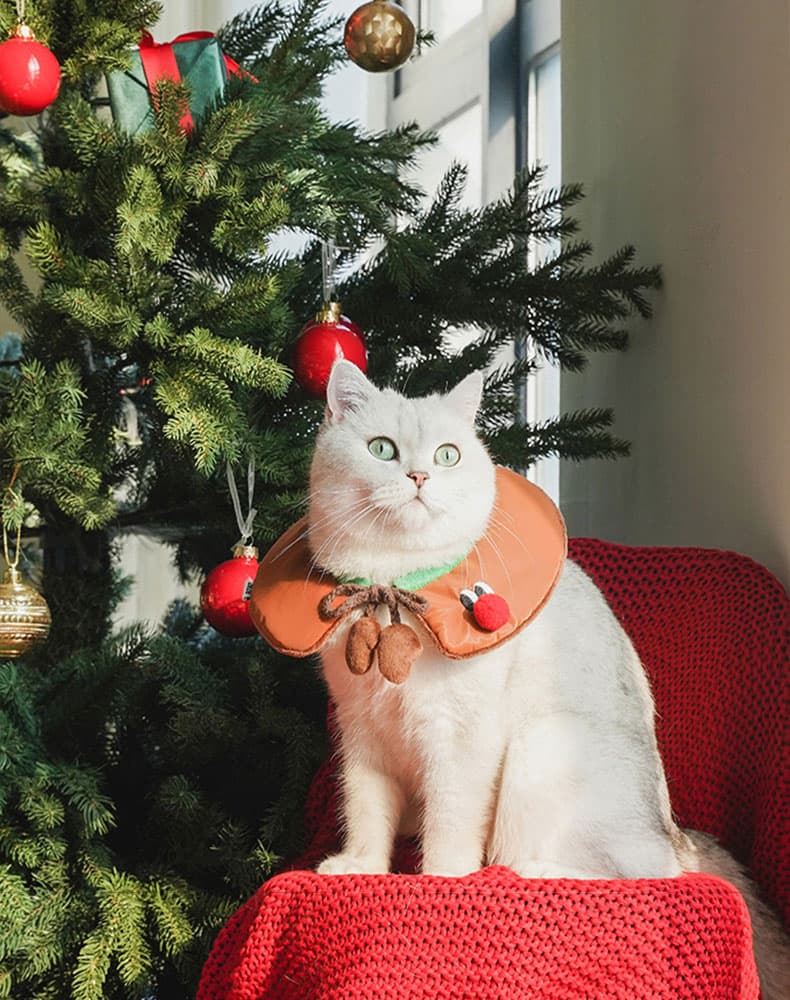 Gift Set Cat Christmas Costumes - thumbnail 5