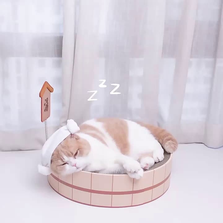 Japanese-Style Hot Springs Cat Scratcher Bed - thumbnail 5