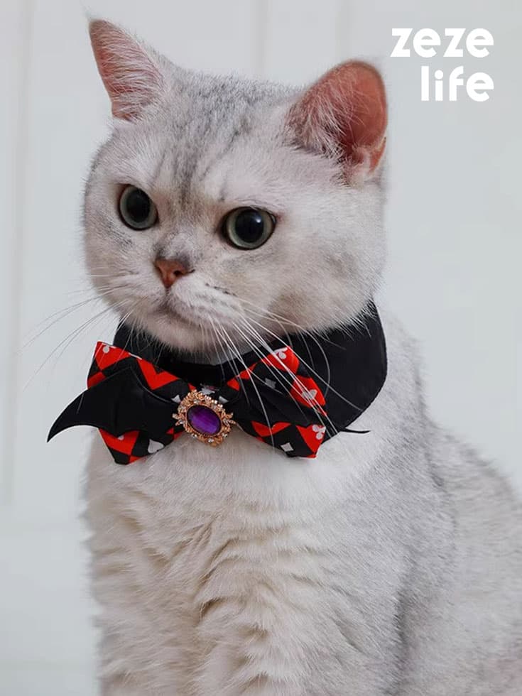 Halloween Cat Collar - thumbnail 2