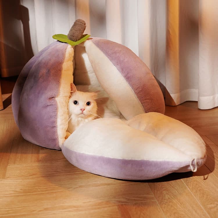 Mangosteen Purple Cat Bed - thumbnail 7