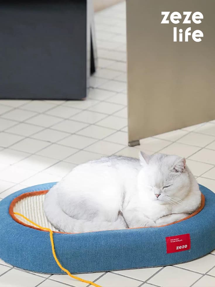 Cat Bed & Scratching Board Toy - thumbnail 4