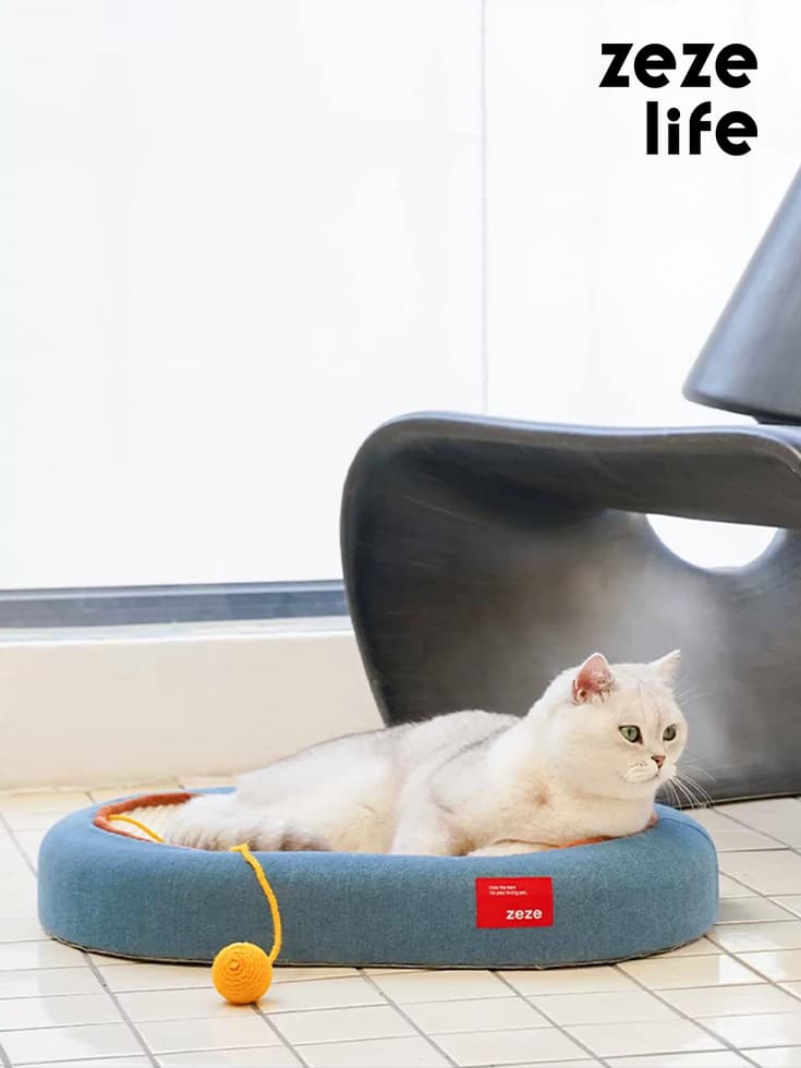 Cat Bed & Scratching Board Toy - thumbnail 6
