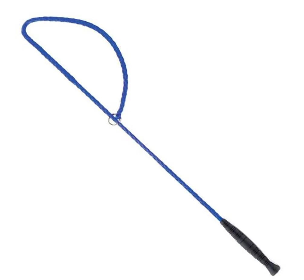 Snappy Snare