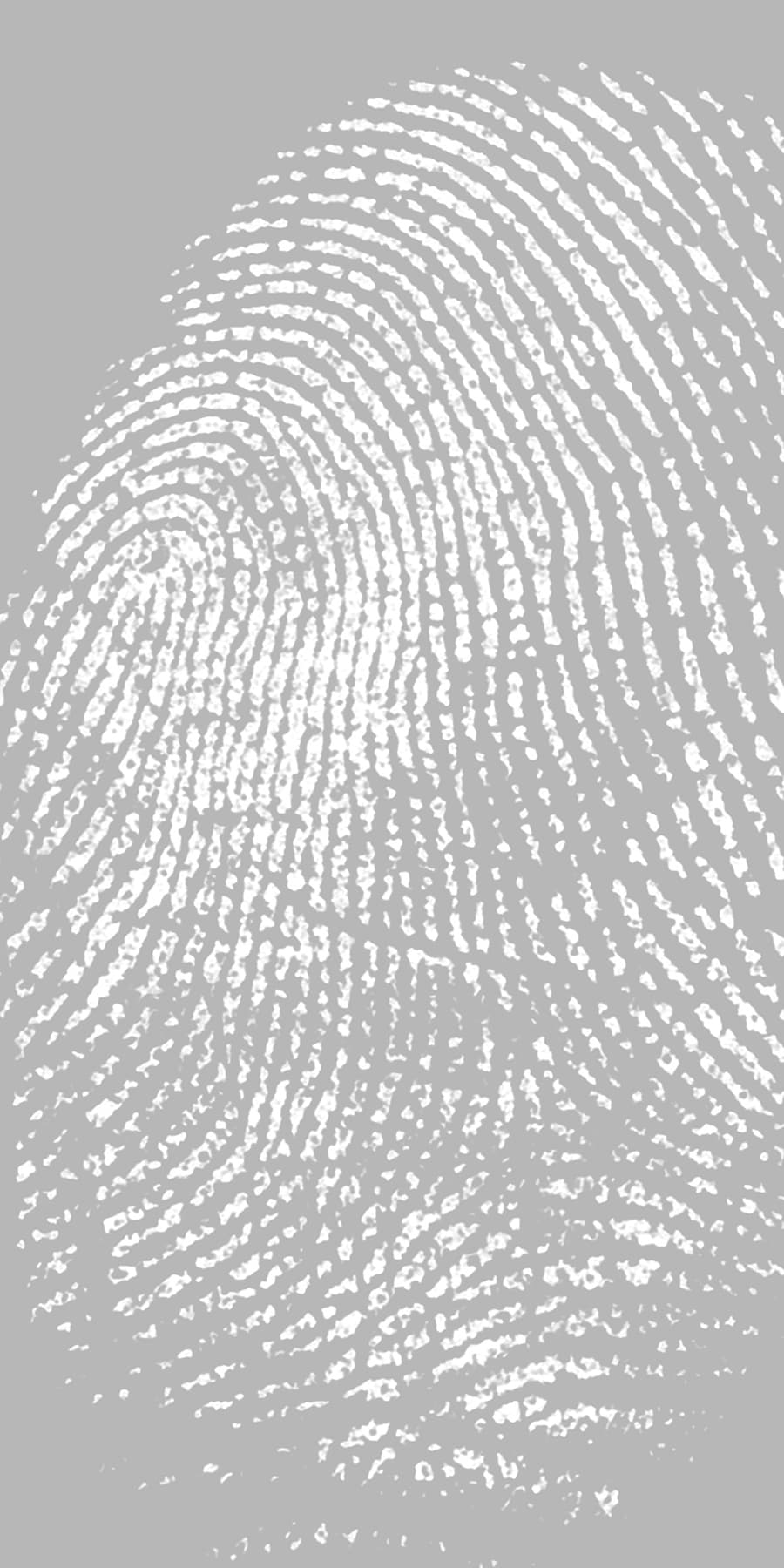 Clue 3 Frosted (Sample)