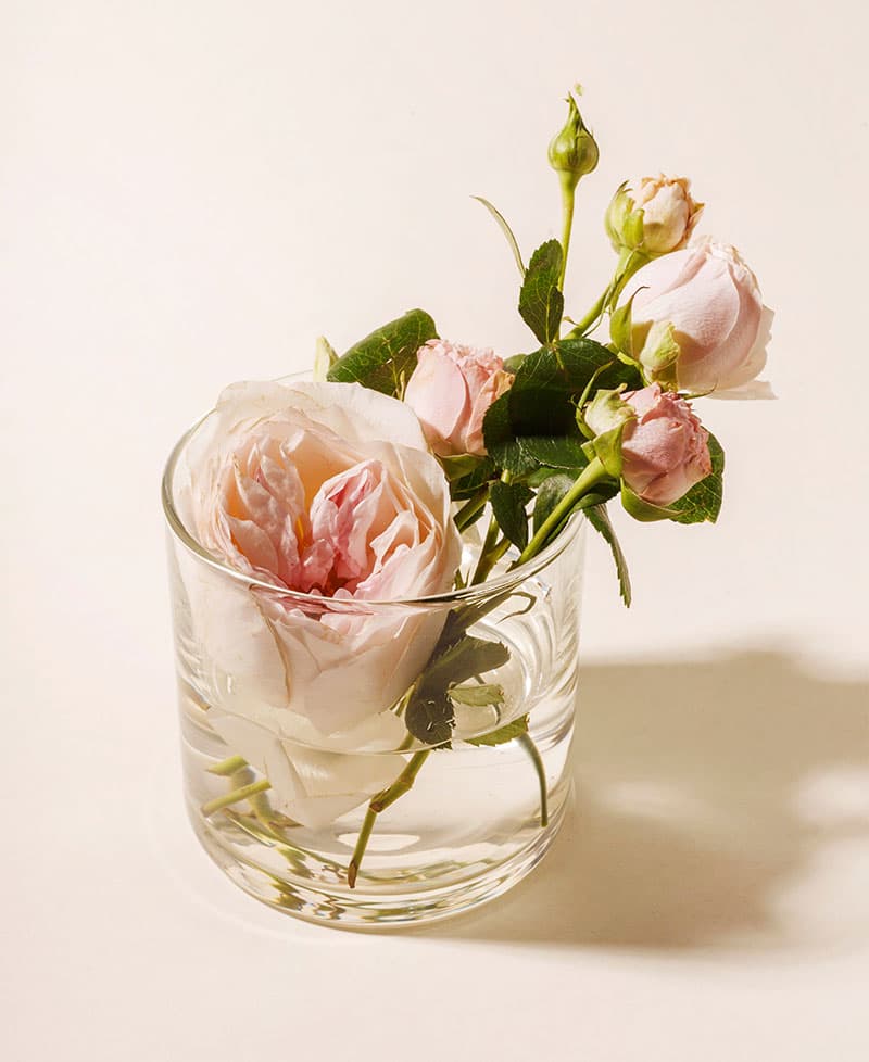 Minimal vase