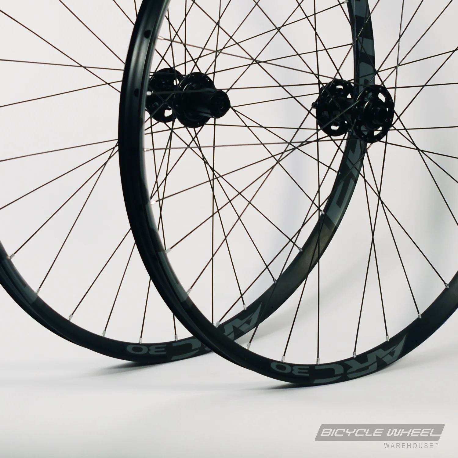 Easton Arc 30 Custom Bicycle Wheel Set