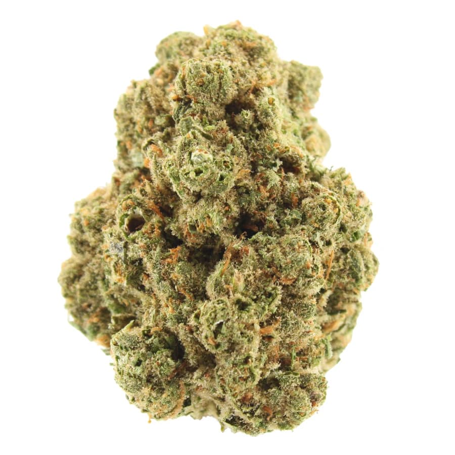 Apricot Scones THCa Flower – Exotic AA