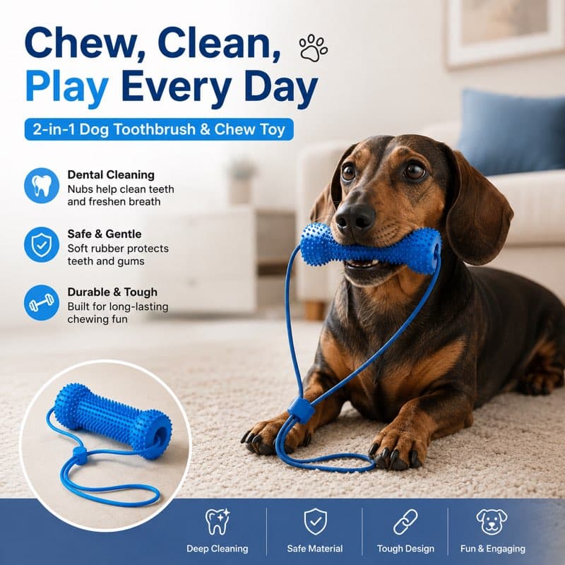 Dachshund Dental Chew Stick