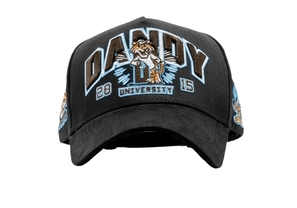 Dandy University Snapback Hat