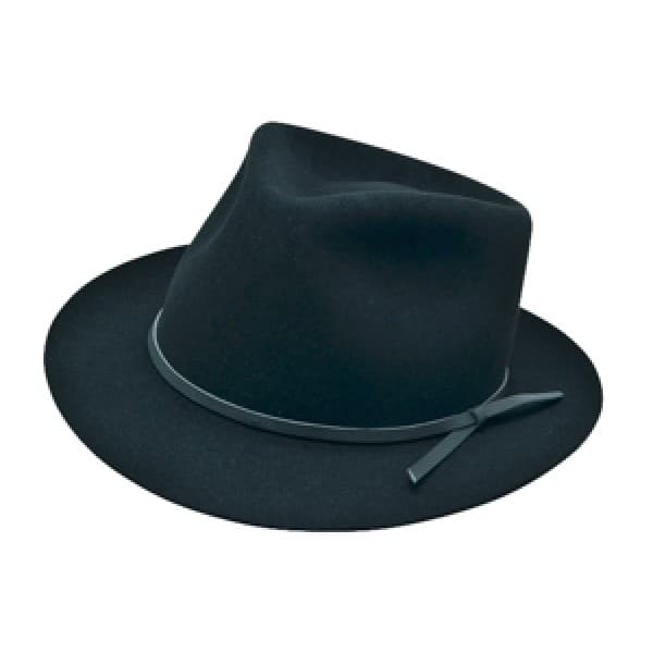 Style: 249 The Newton Fedora Hat