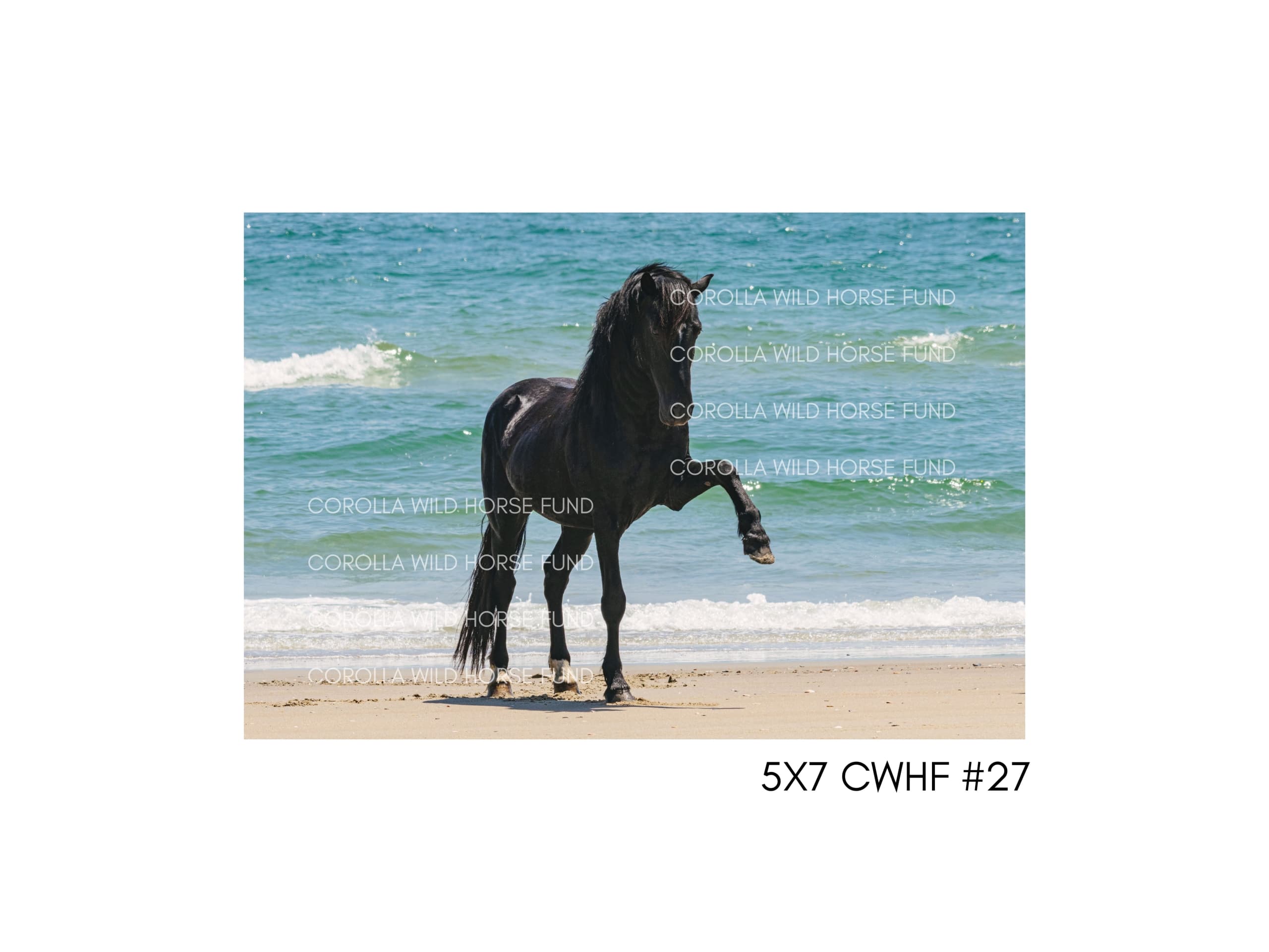 5×7 CWHF #27