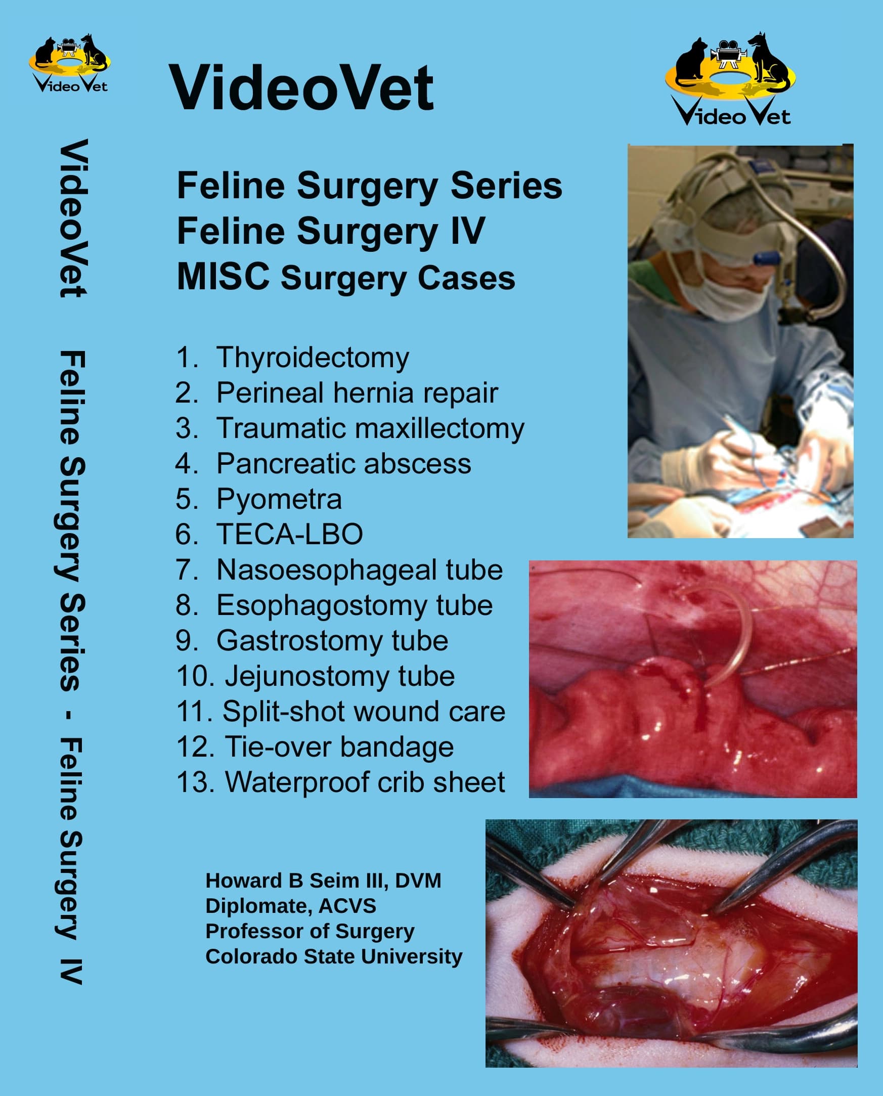 Feline Surgery IV (13 procedures)