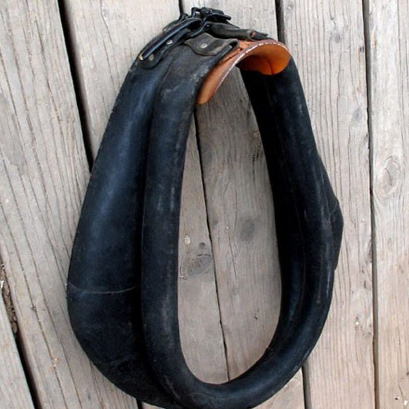 Buggy Collar