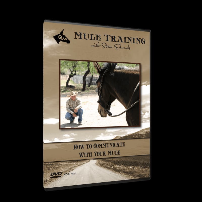 How to Communicate with Your Mule (5 Videos)