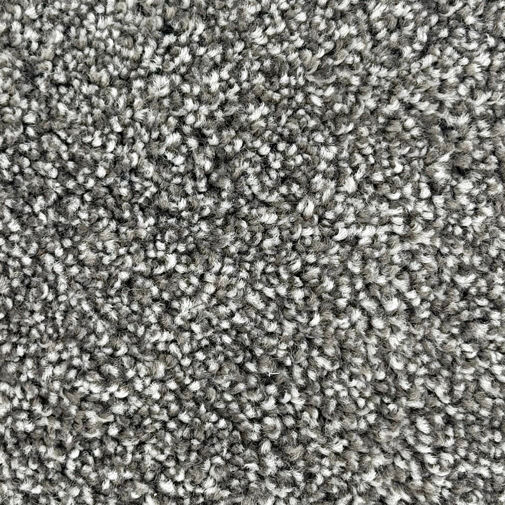 Lake House 1- Cool Escape Carpet