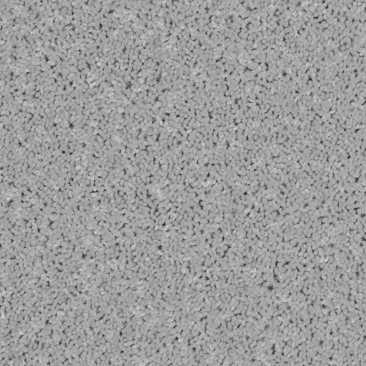 Ethereal Elegance- Polished Carpet