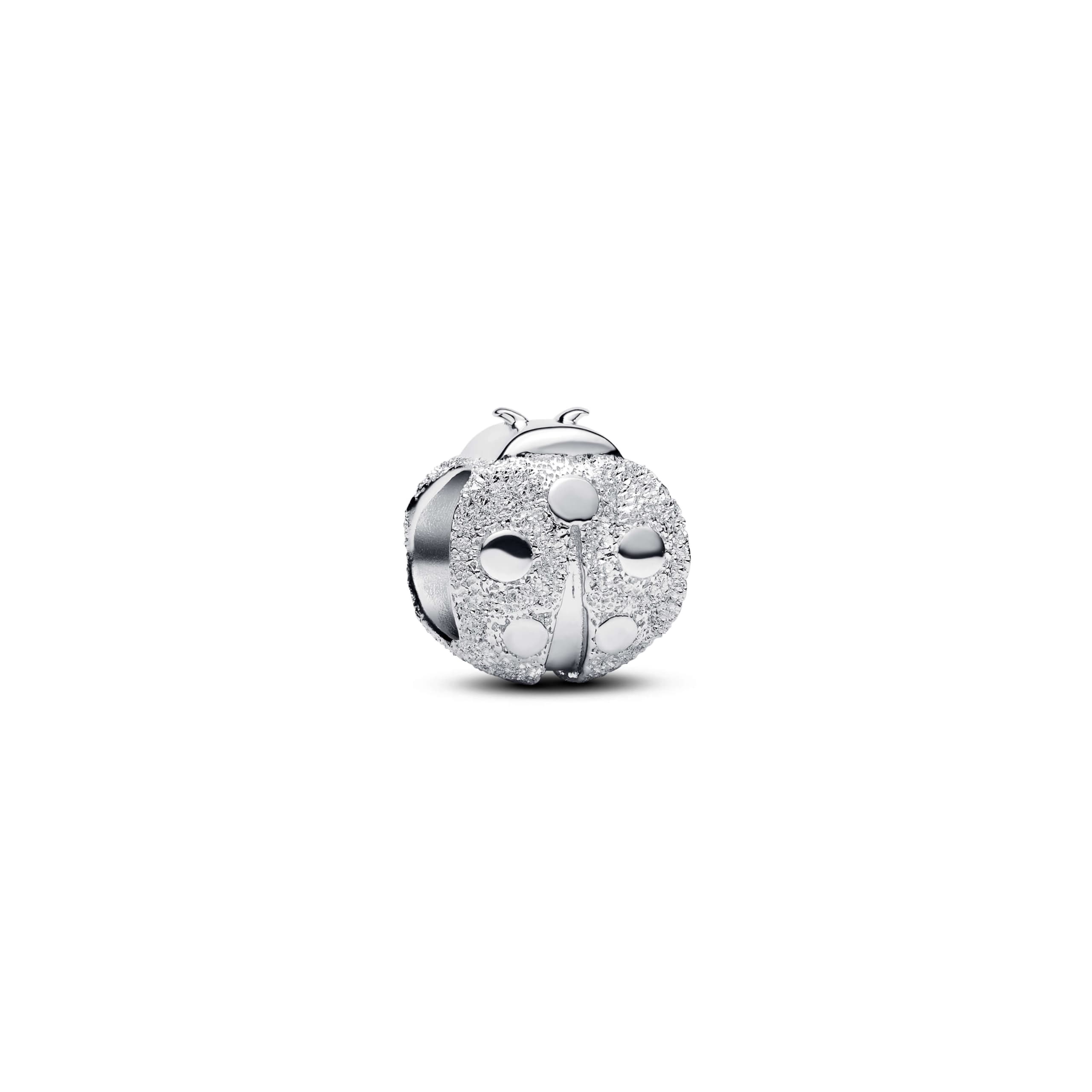 Textured Ladybird Mini Charm