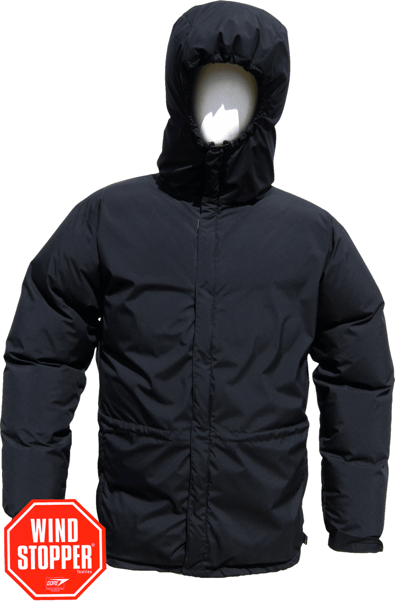 Ion Parka